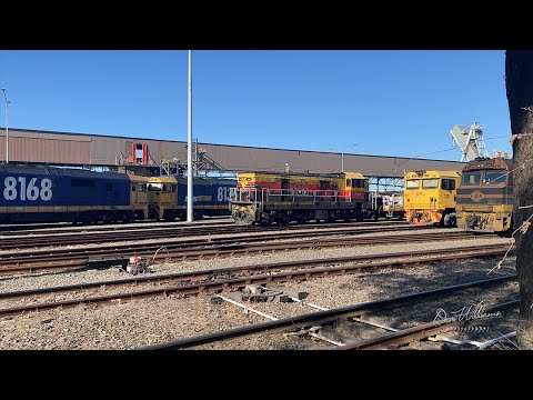 8 Locomotives from 4 companies in 3 minutes - Hunter Valley - June 22 2022
