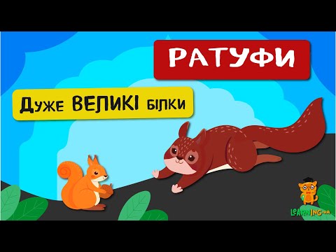 🍀 Дива природи. Явища навколо нас. Ратуфи — велетенські білки 🌏