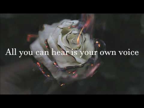 The Plot in You Feel Nothing Lyrics