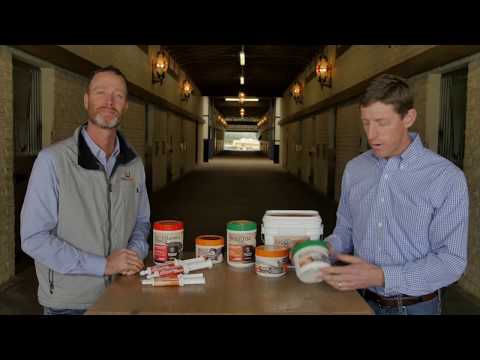 FullBucket Probiotic Granule 25 Billion CFUs for best horse probiotics