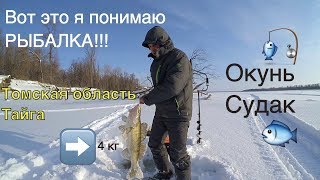 Рыбалка в томской области на оби