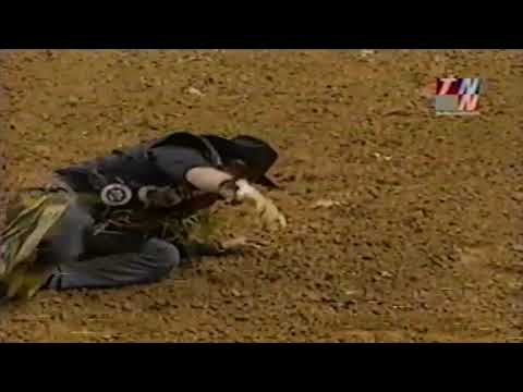 Promise Land bucks Corey Navarre - 01 PBR Greensboro