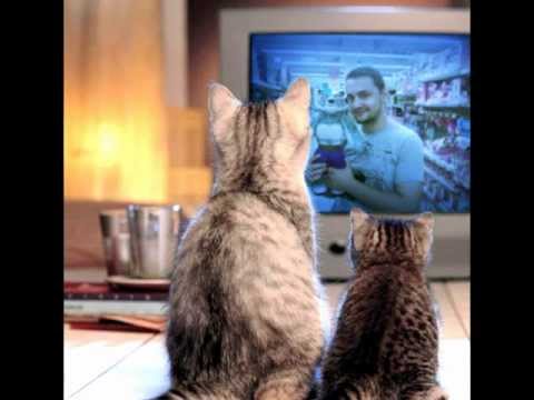 Johannes Huppertz - E.Motional Sence