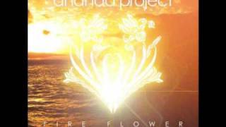 Ananda Project - Fireworks