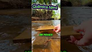 Animais de Madeira Não Boiam?