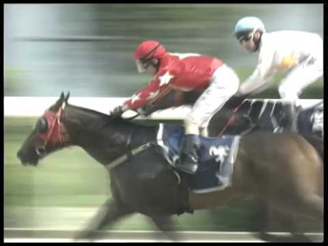 2017-05-14 Macau Meeting Race 4(0258) - THE CAUSEWAY BAY (DIV 2)