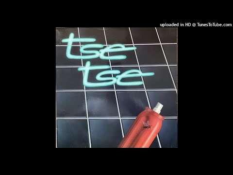 🔴 Tse Tse - Nice To See You 🇩🇪 GERMANY 1983 Fusion