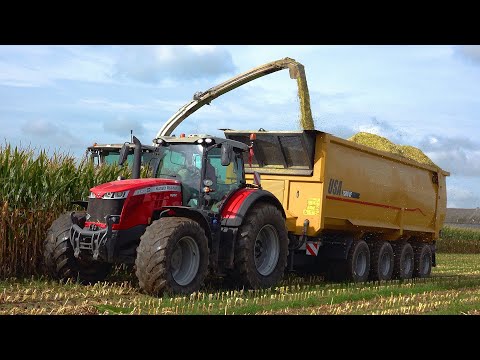 Mais 2023 : USA Equipment CF2500 | Claas Jaguar 990 | Massey Ferguson | BIG Push-off trailers | corn