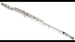 is that a flute? (Tenacious D animation)