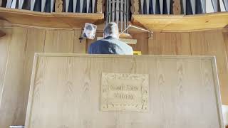 I could never say goodbye - Enya, Organ Cover