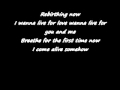 Skillet Rebirthing Lyrics