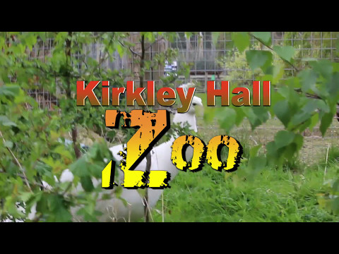 Kirkley Hall Zoo