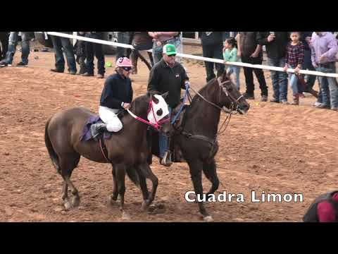 11 Cuadra Royal Dreams vs Cuadra Tierra Suelta vs Cuadra Julian vs Cuadra 3 Aces vs Cuadra Limon a 2