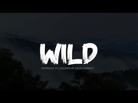 After Movie W I L D 2020 | AIESEC in Europe