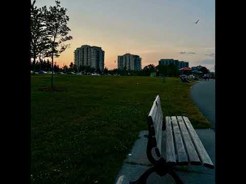 Lil Tony - gave u my heart / Juice Wrld Flow