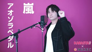 【広瀬裕也】アオゾラペダル  / 嵐 歌ってみた