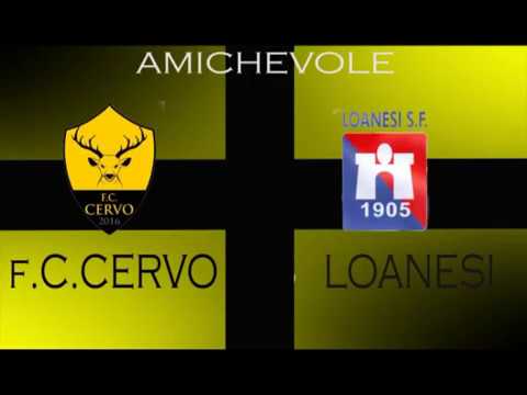 Cervo - Loanesi