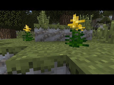 TerraFirmaCraft Reloaded 2: Skipping the Copper Age?! - Ep. 2