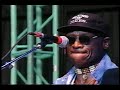 Taj Mahal - Blue Light Boogie - 6/13/1995 - Shoreline Amphitheatre