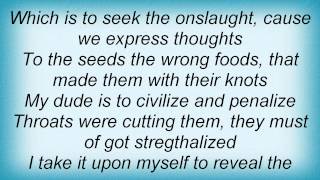 Killarmy - 5 Stages Of Consciousness Lyrics