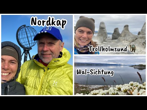 #55 | Trollholmen | Whales | Off to the North Cape | On the road in Norway 🇳🇴Vanlife