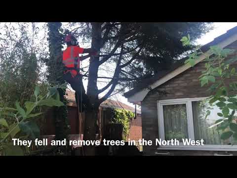 Beech Tree Services video.