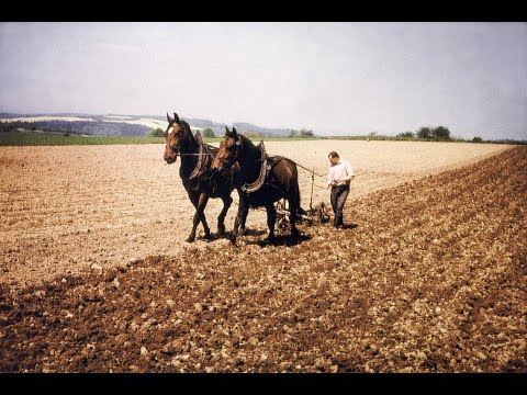 Doku, historisch: Bäuerlicher Alltag um 1950.Muskelkraft und natürliche Energien.