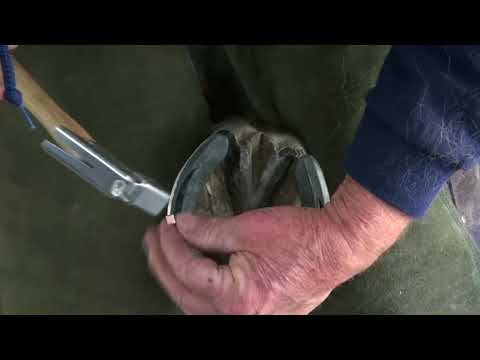 Slide 3 - Classic Roller 3 Front 24x8 2/Clip  (video)