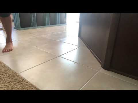 First time using Roomba.