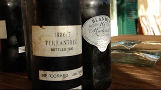 Quinta de Santa Luzia - Rural Tourism - Madeira island