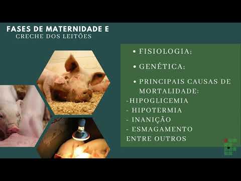 , title : 'Seminário de fisiologia (Suídeos)'
