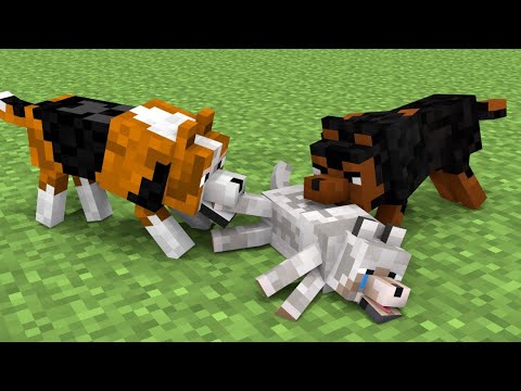Season 10 All Episode - Minecraft Animation