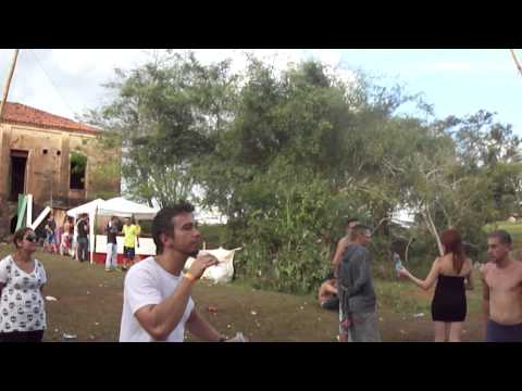 Netto Buck @Butterfly PVT