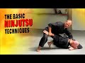The Ninjutsu Basic Techniques