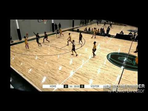 2019 D1 Hornets Hightlights 7-13/7-14