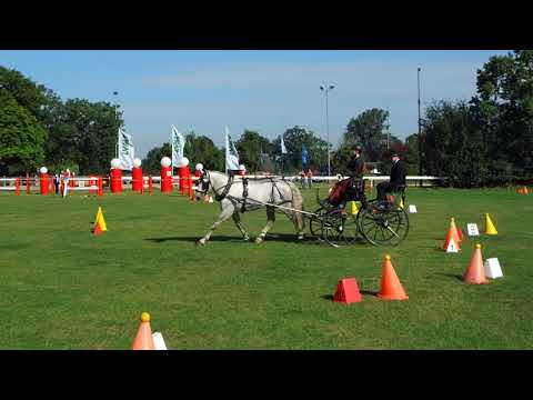 Fahrturnier Ostenfelde 14.8.2021