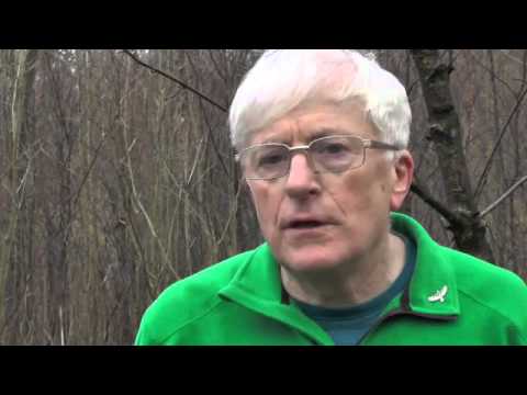 Runes Course Learn the power and magic of the Runes