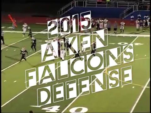 2015 Aiken Defense