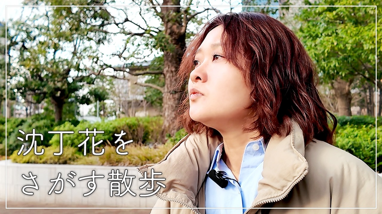 【散歩】沈丁花をさがそう【春】