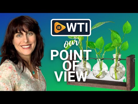 Ivolador Plant Terrarium - WTI product video review