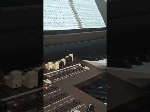 Hino 223- Muitos,por fé, aceitaram Jesus -CCB#musicoseorganistasccb #musicosccb