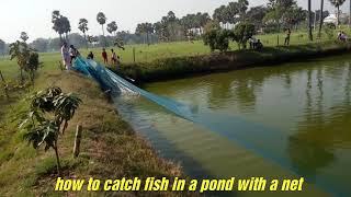 preview picture of video 'how to catch fish in a pond with a net'