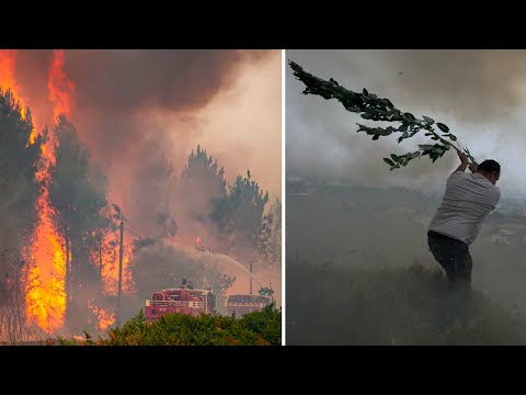 Extremhettan: Skogsbränderna fortsätter rasa i södra Europa | TV4 Nyheterna | TV4 & TV4 Play