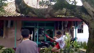 Download lagu Korban ayunan maut #desa sungapan pemalang mp3