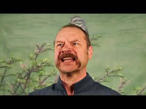Bushes