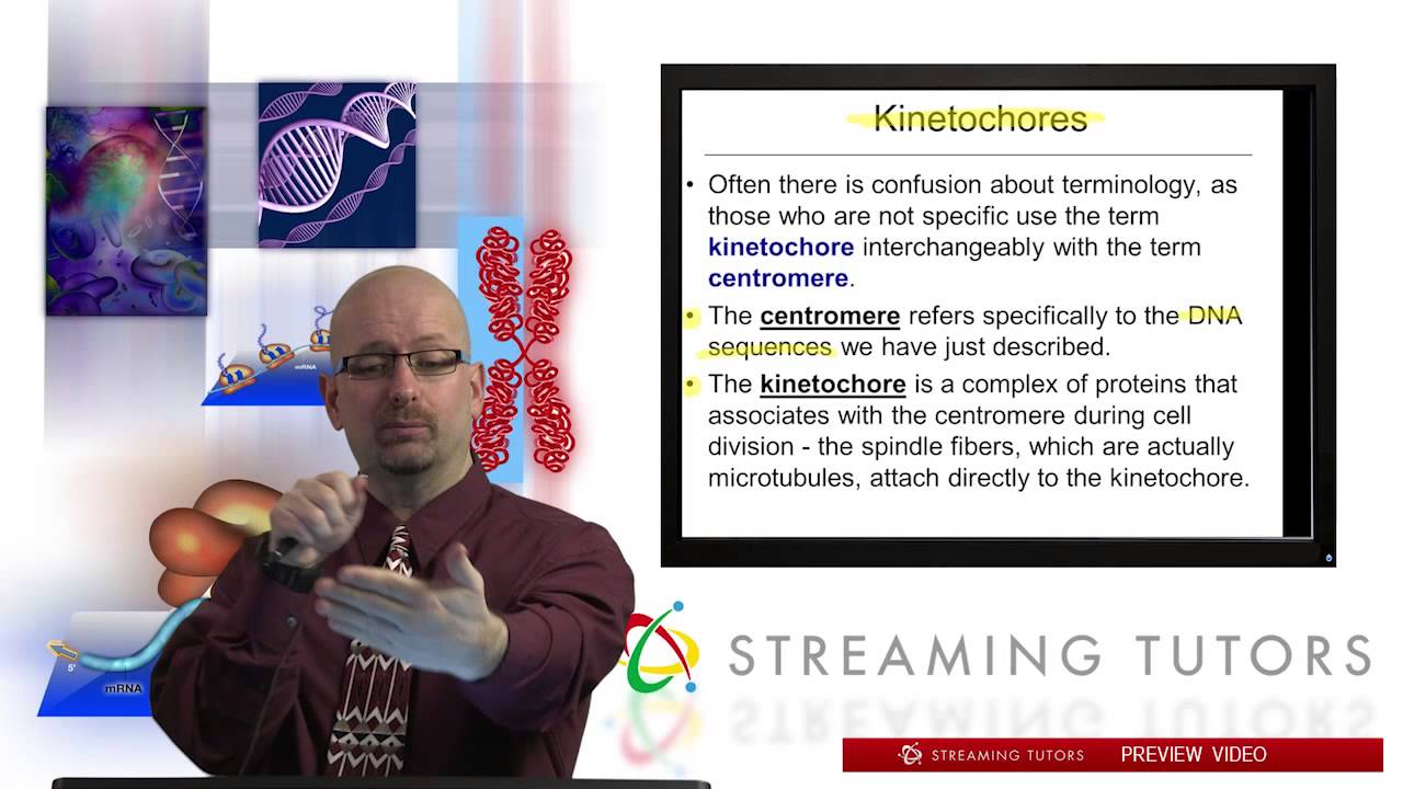 Centromeres and Telomeres tutorial