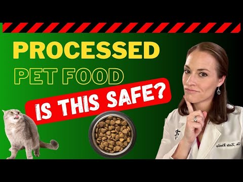 The Hidden Dangers of Processed Pet Food: What You Need to Know