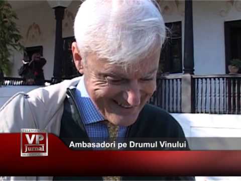Ambasadori pe Drumul Vinului