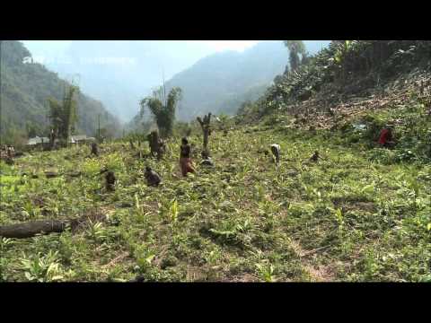Die Opium Route HD - arte Teil 1