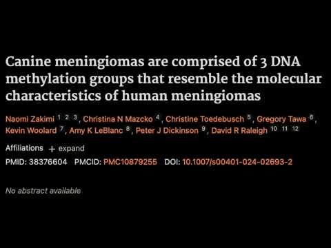 18. Canine meningiomas are comprised of 3 DNA methylation groups that resemble human meningiomas